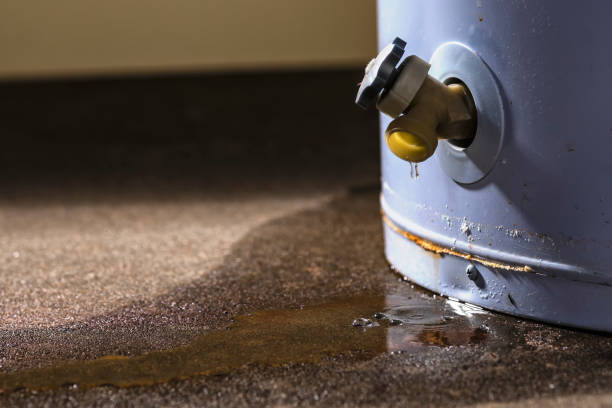 Best Mold removal after water damage  in Socorro, TX
