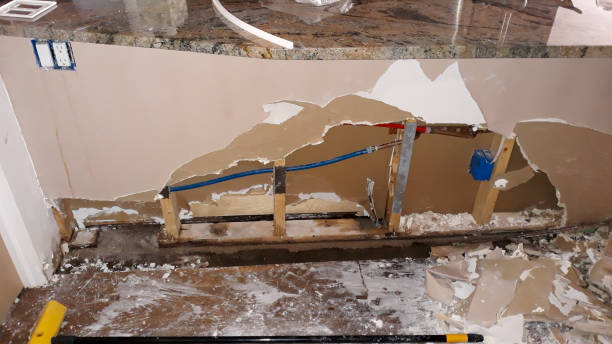 Best Water damage contractors near me  in Socorro, TX
