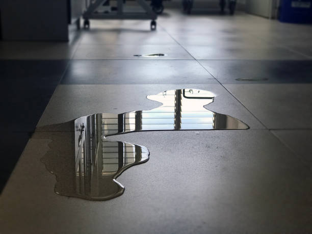 Best Local water damage restoration  in Socorro, TX