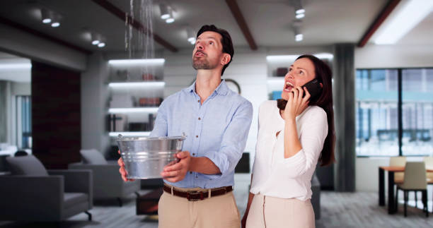 Best Basement water damage restoration  in Socorro, TX